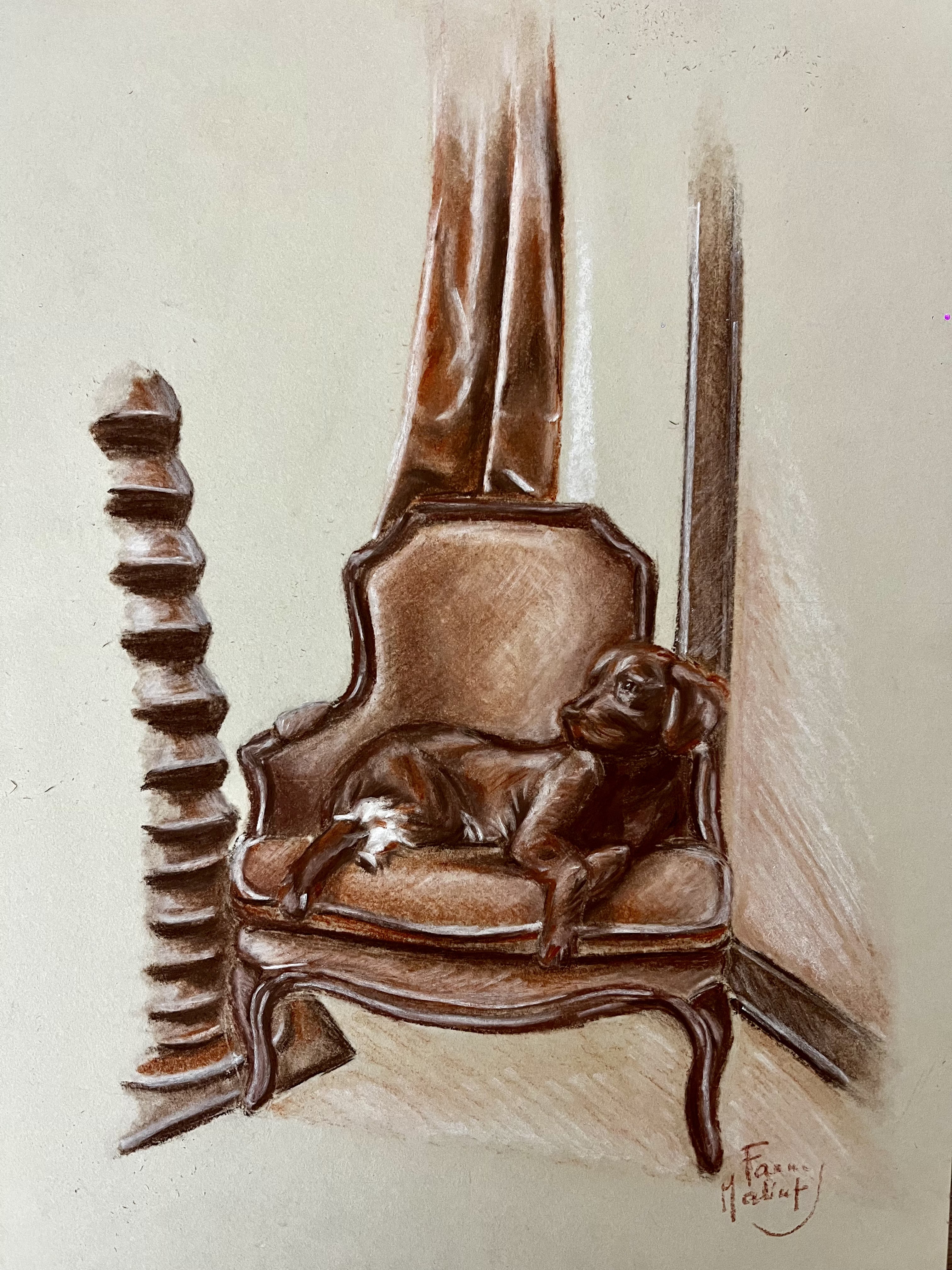 Chiens modernes - COMMANDE